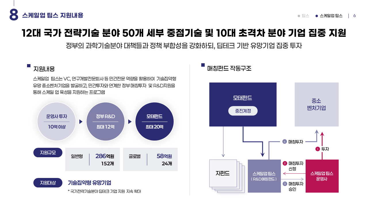 TIPS 프로그램 설명 발표자료 - 팀피피티